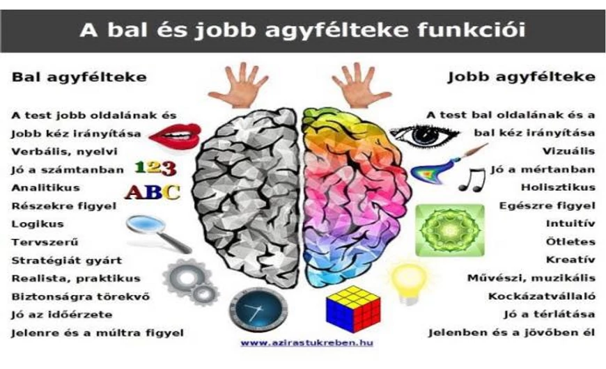 A jobb és a bal agyfélteke működése